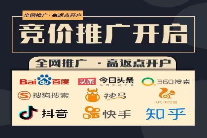 百度推广代运营公司成功案例解析